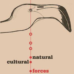 Capa do Álbum "Natural / Cultural Forces", de Warren Smith