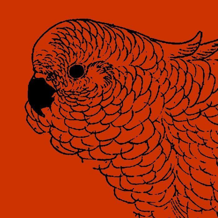 Capa do Álbum "Antologia Remixada", de Marli