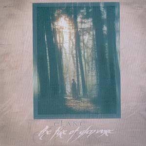 Capa do Álbum "The Fire of Glenvore", de Elane