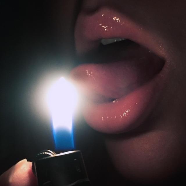 Capa do álbum "Burn Bitch", de Beautiful Hotnes