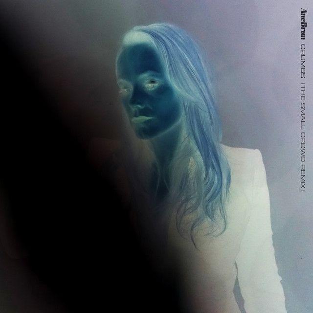 Capa do álbum "Crumbs", de Ane Brun