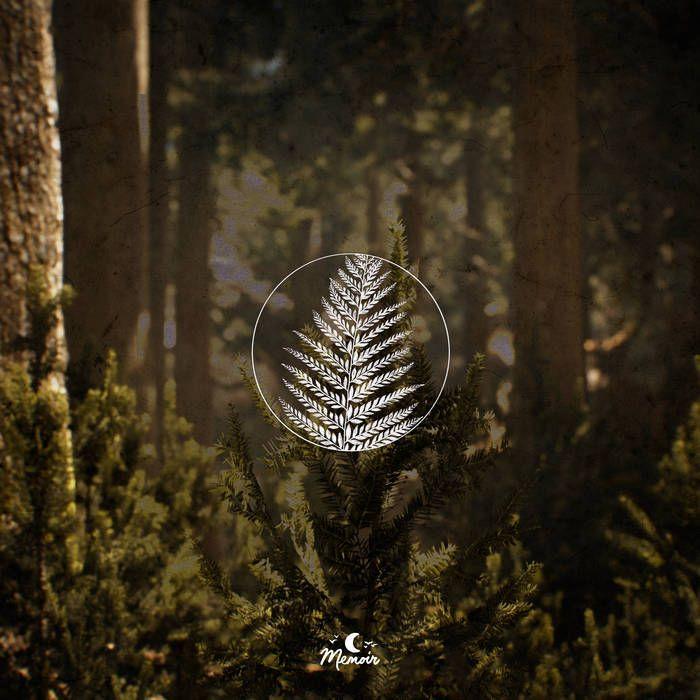 Portada de Sencillo/EP "Goyo", de park bird