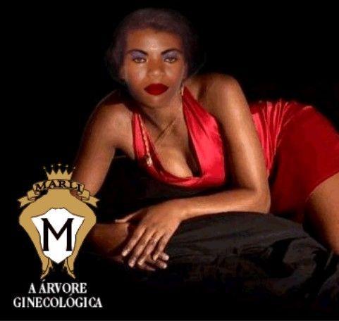 Capa do Álbum "A Árvore Ginecológica", de Marli