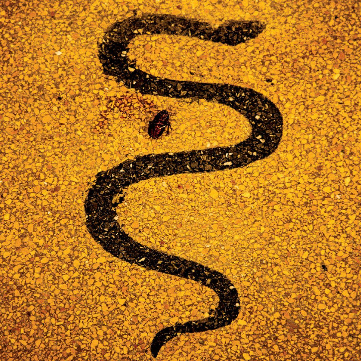 Portada de Álbum "Apollo", de Soror Dolorosa