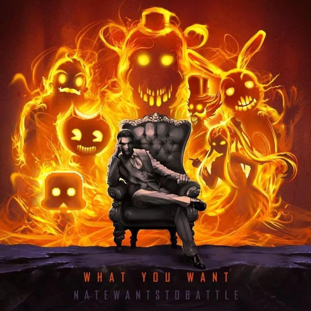 Album cover of "What You Want" by NateWantsToBattle