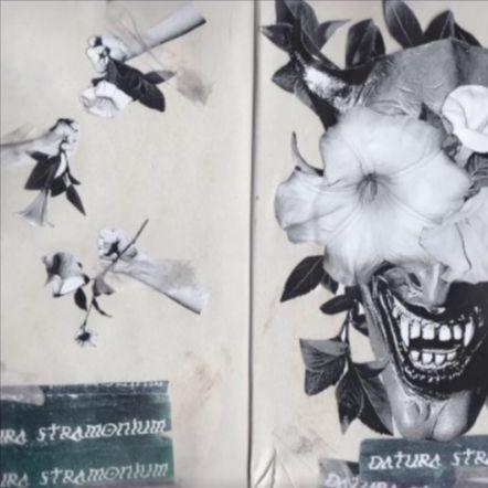 Single/EP cover of "DATURA" by Asol (에이솔)