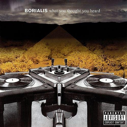 Album cover of "What You Thought You Heard" by Borialis