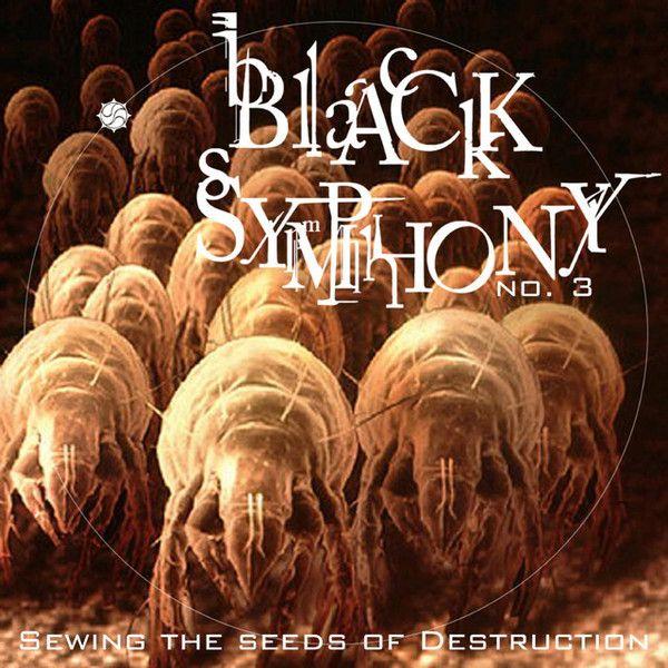 Portada de Álbum "Sewing The Seeds Of Destruction", de Black Symphony