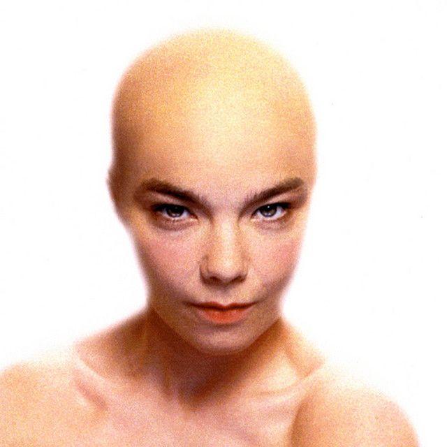 Portada del álbum "Hunter (Vol.2)", de Björk