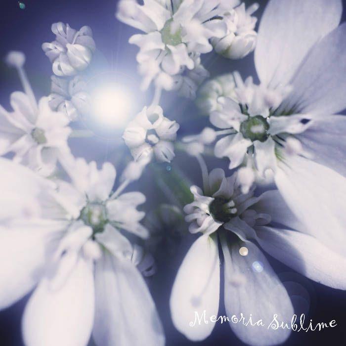 Portada de Sencillo/EP "Memoria Sublime", de Crystalinas