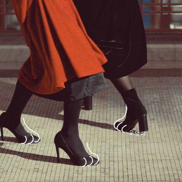 Single/EP cover of "Cat (고양이)" by Sunwoo Jung-a