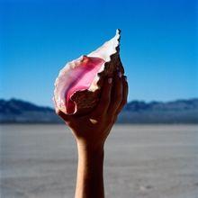 Capa do Álbum "Wonderful Wonderful", de The Killers