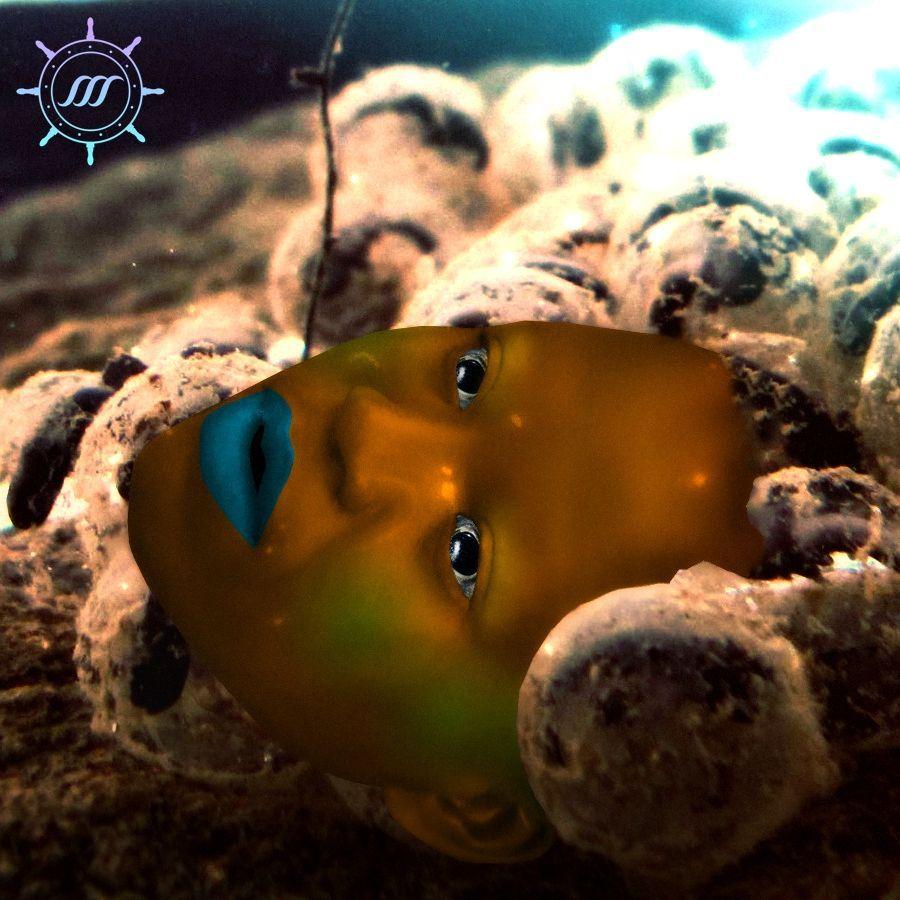 Capa do Álbum "Desova", de Marli