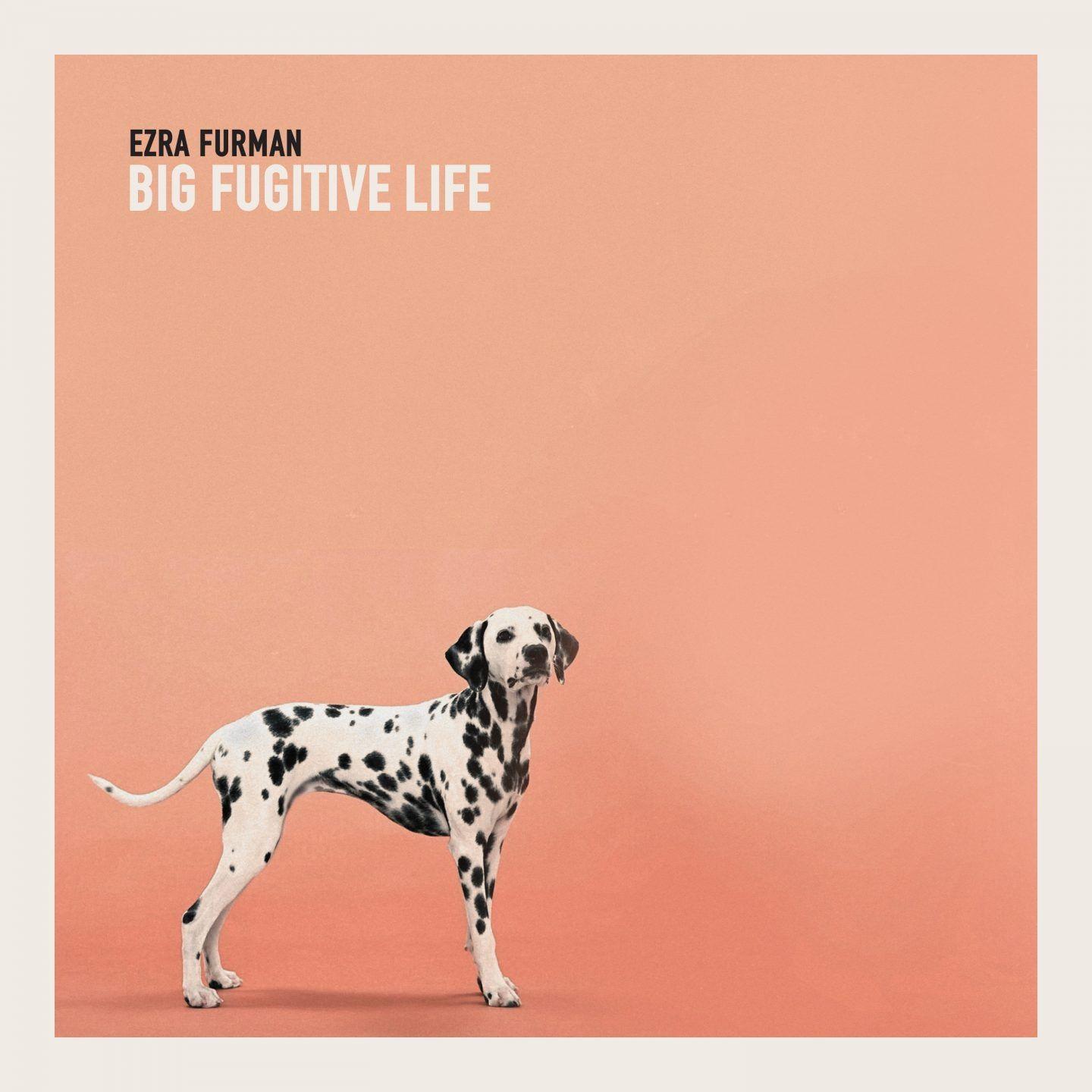 Portada de Álbum "Big Fugitive Life", de Ezra Furman