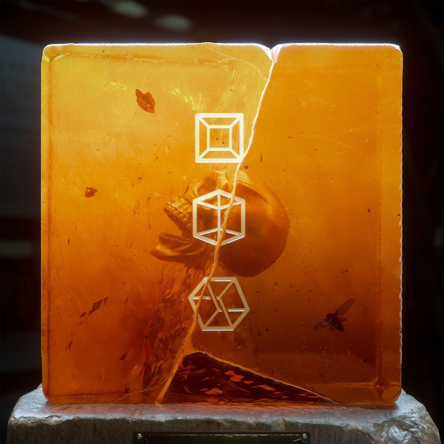 Capa do Álbum "A Matter of Perspective", de Droeloe