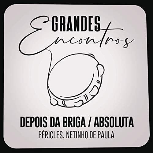 Portada de Sencillo/EP "Depois da Briga / Absoluta", de Netinho de Paula