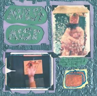 Capa do Álbum "Sad Sappy Sucker", de Modest Mouse