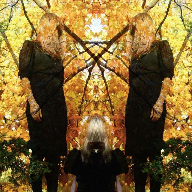 Capa do Álbum "Feel It Break (Deluxe Edition)", de Austra