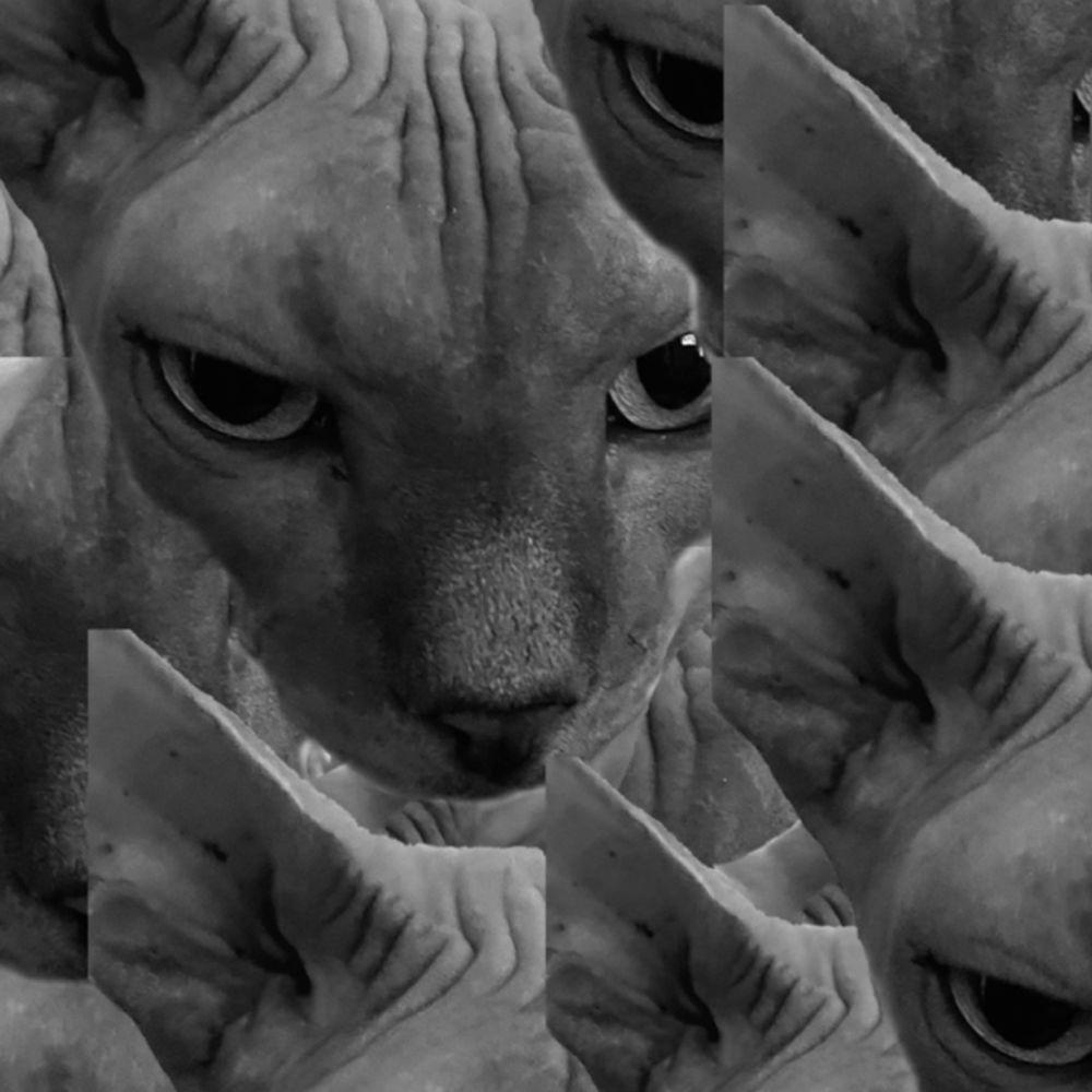 Portada de Sencillo/EP "3.14", de Poppy