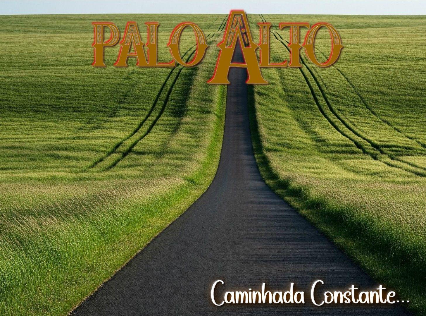 Album cover of "Caminhada Constante" by Palo Alto