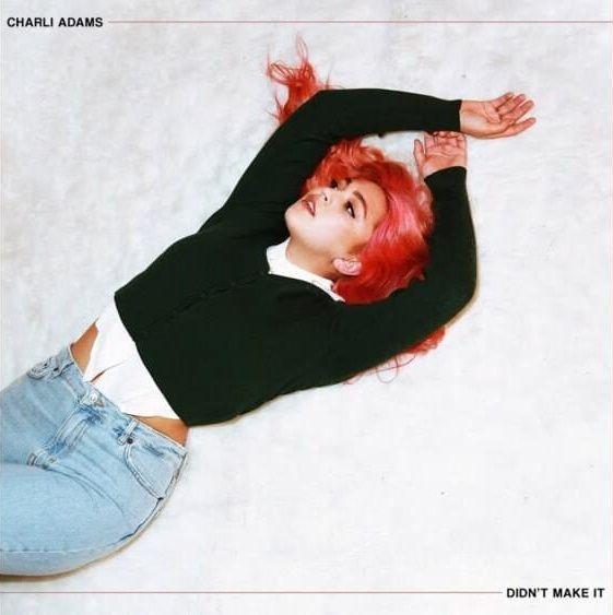 Portada de Sencillo/EP "Didn't Make It", de Charli Adams