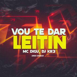 Album cover of "Vou Te Dar Leitin " by MC Digu