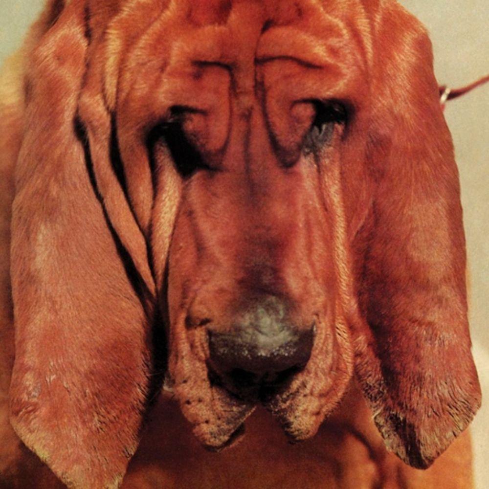 Capa do Álbum "Goodbye Bread", de Ty Segall