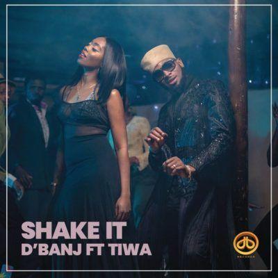 Capa do álbum "Shake It", de D'banj