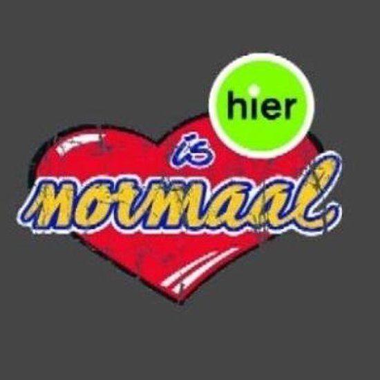 Capa do álbum "Hier Is Normaal", de Normaal