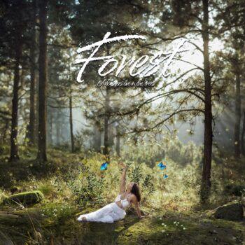 Portada de Álbum "Forest", de Black Polish