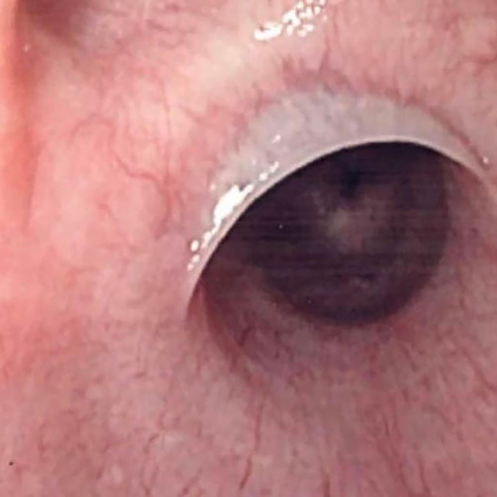 Capa do Single/EP "Mascara", de Sub Urban