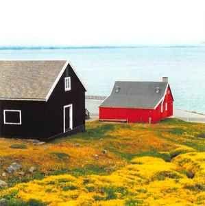 Capa do Álbum "Ann Arbor Saturday", de Jandek