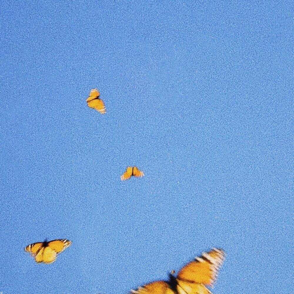 Capa do Single/EP "Butterflies", de Fiji Blue