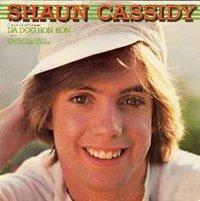 Album cover of "Shaun Cassidy" by Shaun Cassidy