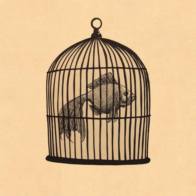 Portada de Sencillo/EP "Fish In a Birdcage", de Fish In a Birdcage
