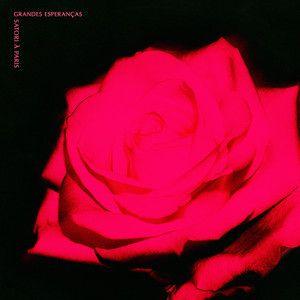 Capa do Álbum "Grandes Esperanças", de Satori À Paris