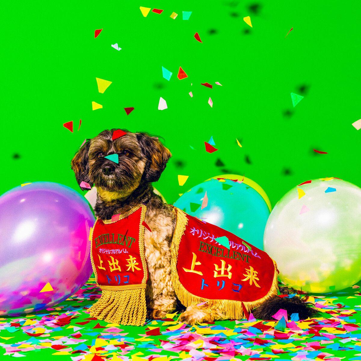 Portada de Álbum "Jodeki", de Tricot