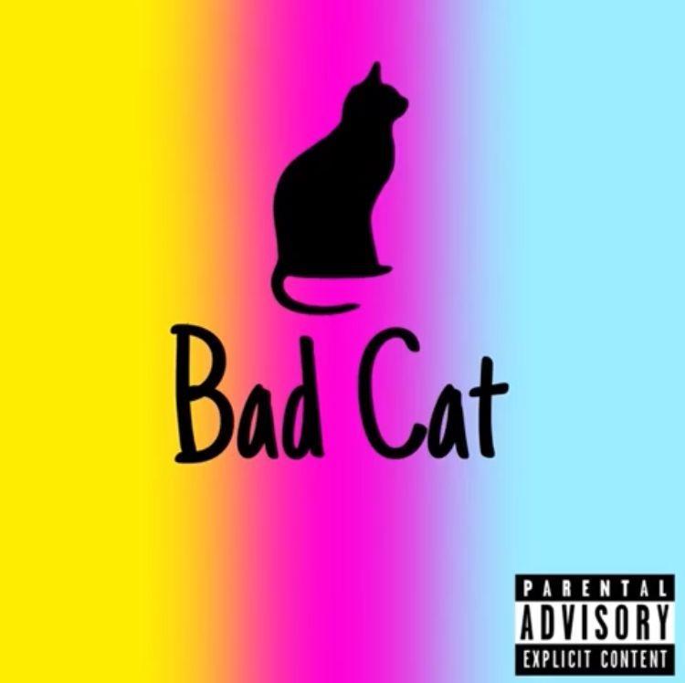Portada de Sencillo/EP "Bad Cat (Deluxe)", de Kaez1nho