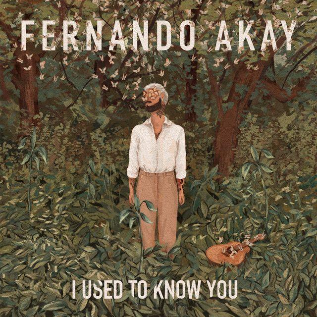 Portada de Sencillo/EP "I Used To Know You", de Fernando Akay