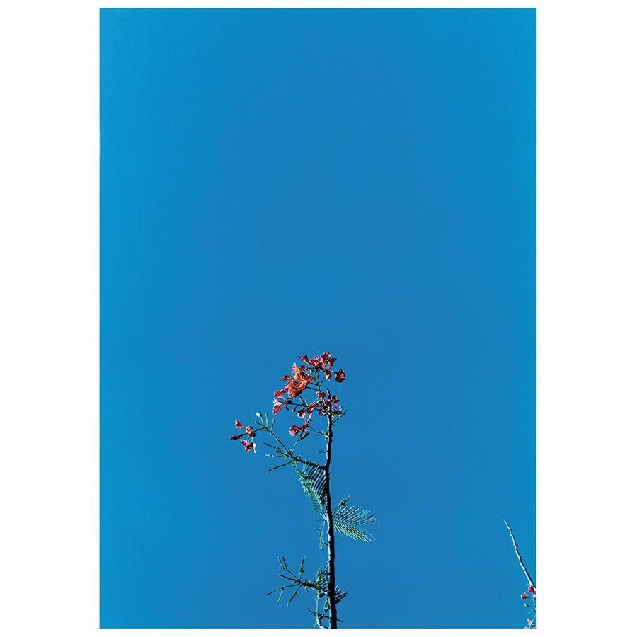 Portada de Sencillo/EP "The YS Street Band", de Joanna Newsom