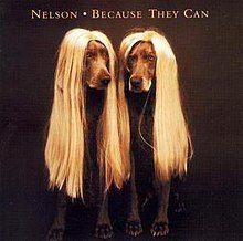 Portada de Álbum "Because They Can", de Nelson