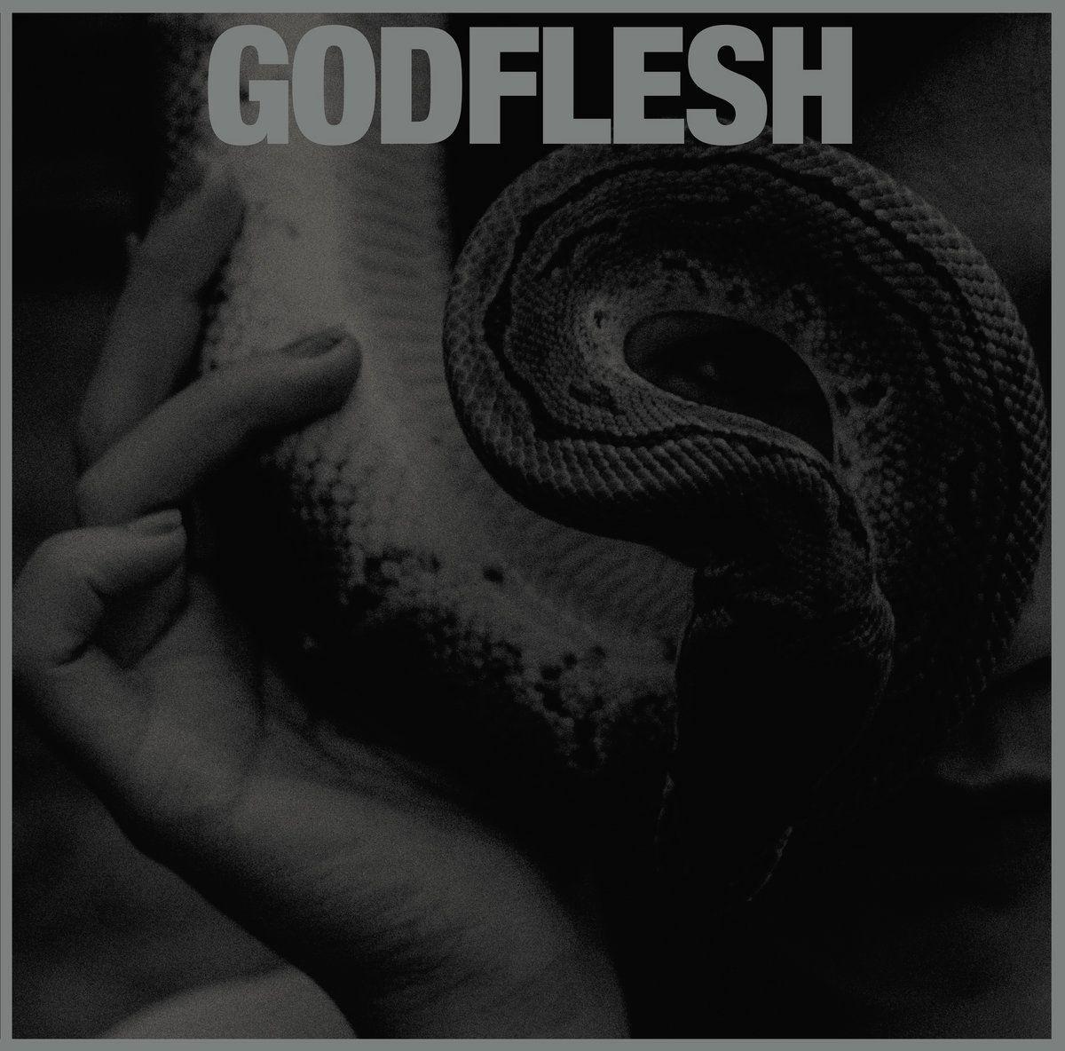 Capa do Álbum "Purge", de Godflesh