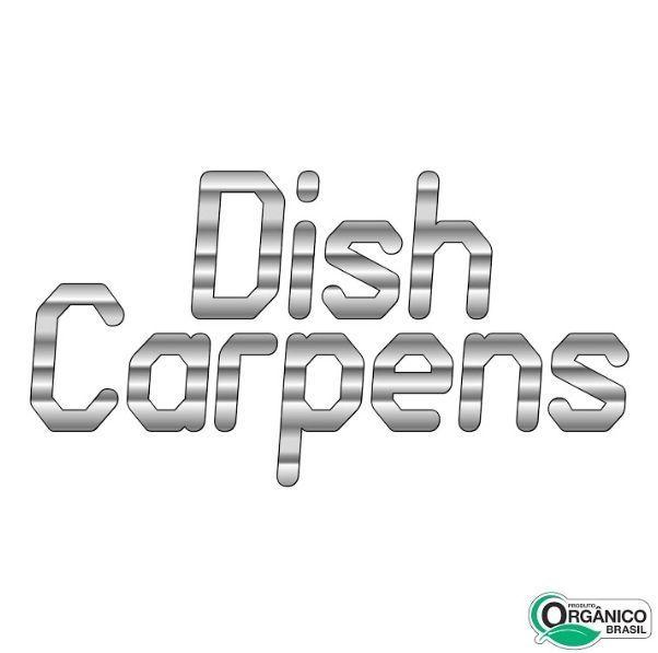 Capa do Álbum "Dish Carpens", de Dish Carpens