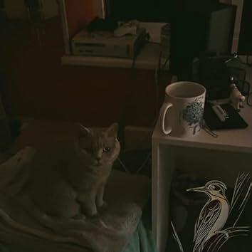 Portada de Sencillo/EP "what was i supposed to do?", de woodpecc