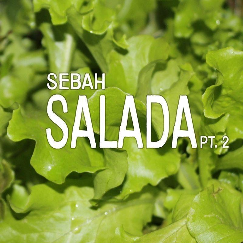 Portada de Álbum "Salada, Pt. 2", de Sebah