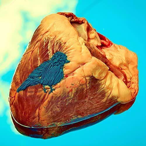 Portada de Álbum "Um Outro Lado do Amor", de Vince Machado