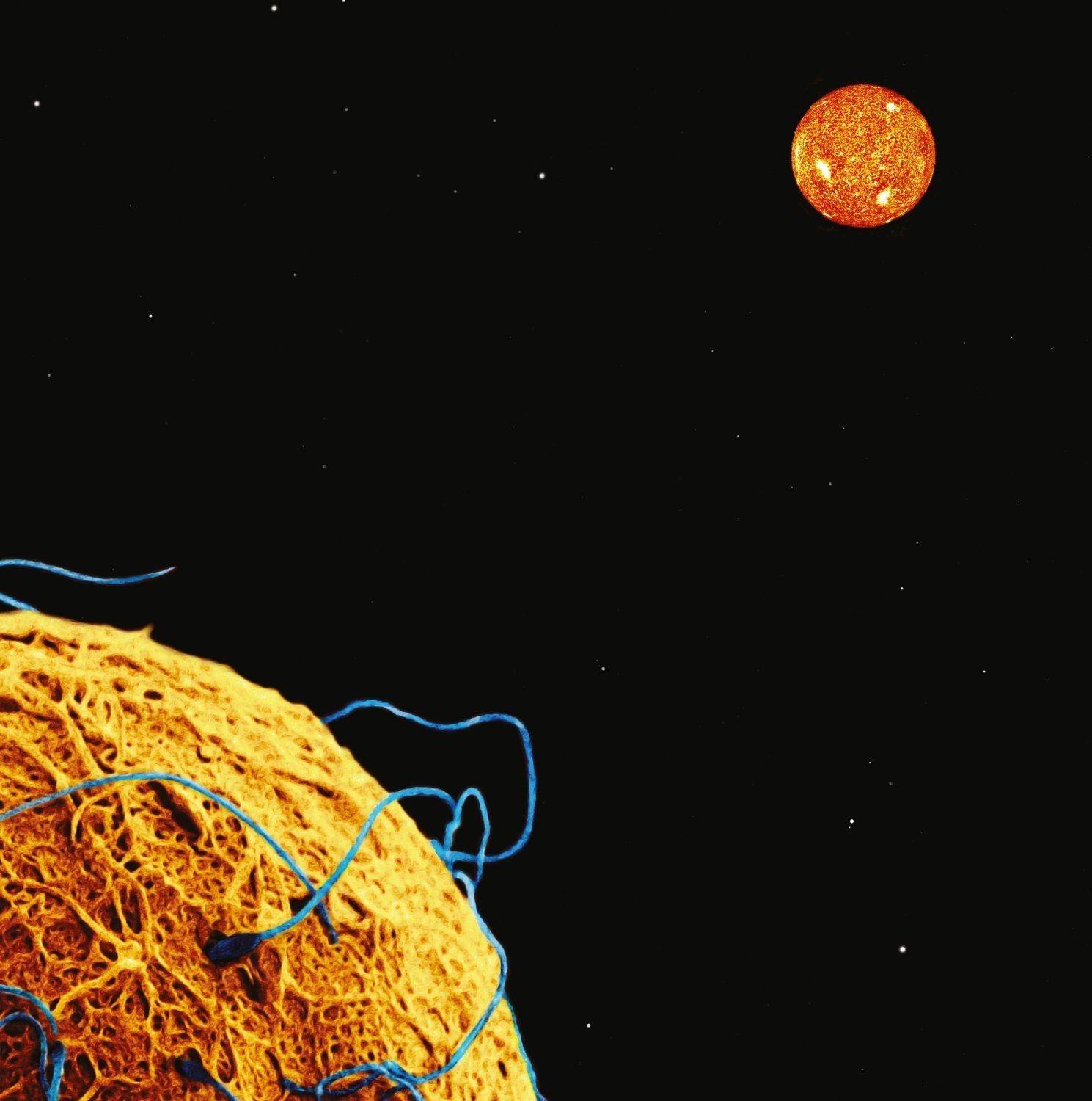 Capa do Álbum "Snowtorch", de Phideaux