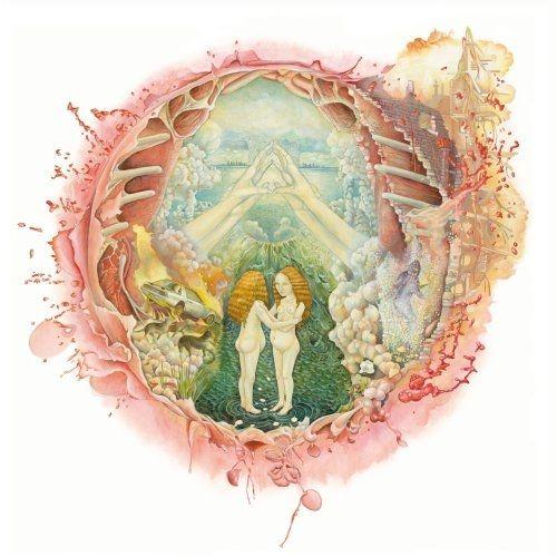 Capa do Álbum "Arm's Way", de Islands