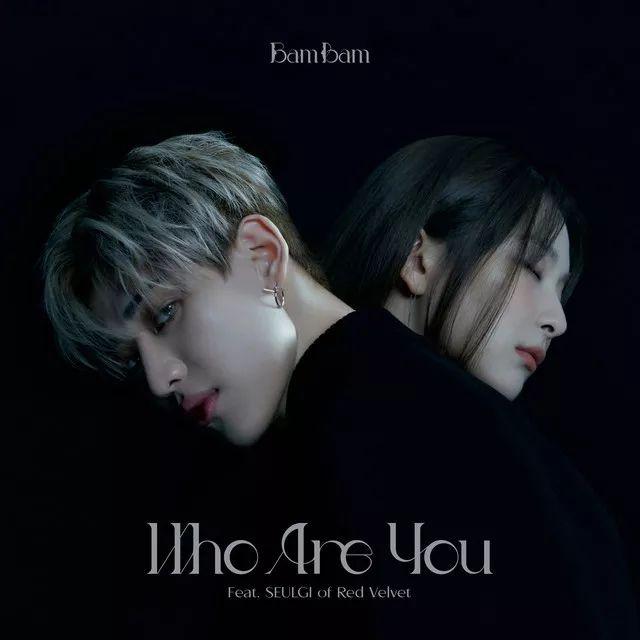 Capa do Single/EP "Who Are You (feat. Seulgi)", de BamBam 
