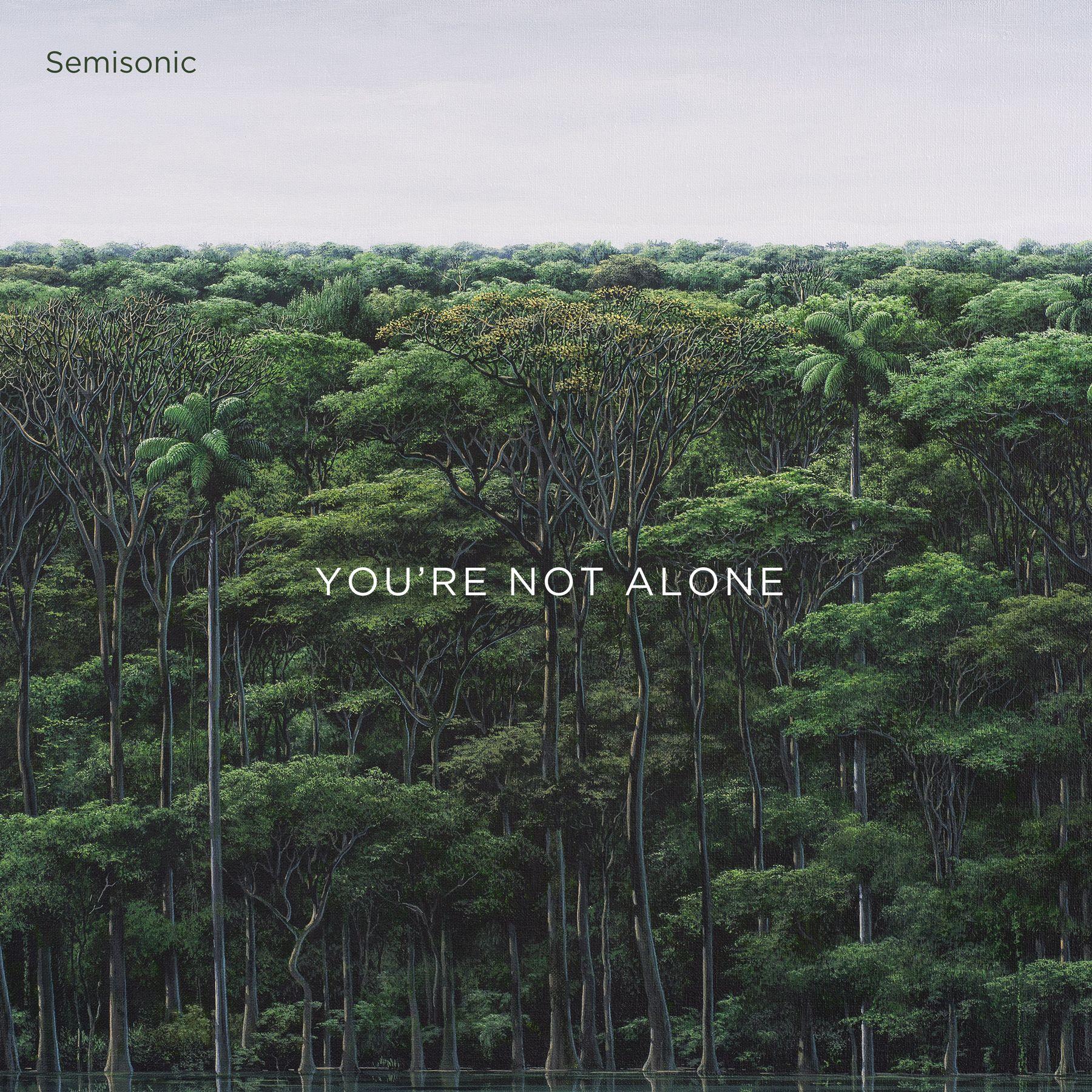 Capa do Single/EP "You're Not Alone", de Semisonic